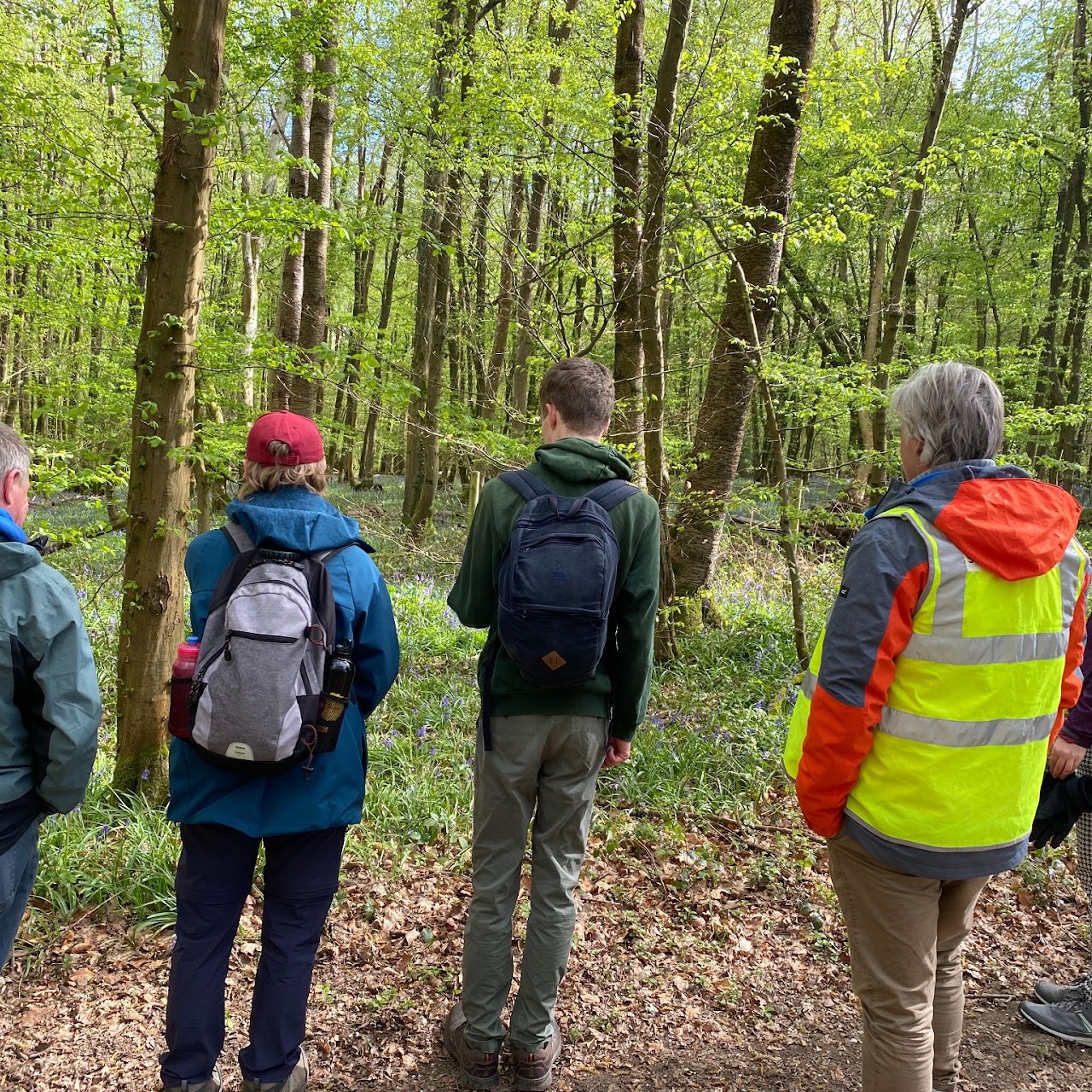 A shared walk in the countryside